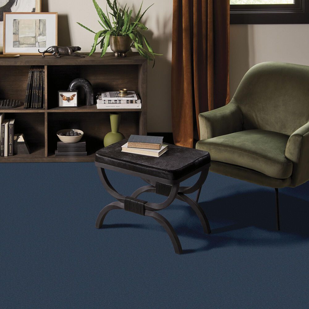 Anderson Tuftex Finery Carpet in Hudson Bay, , large