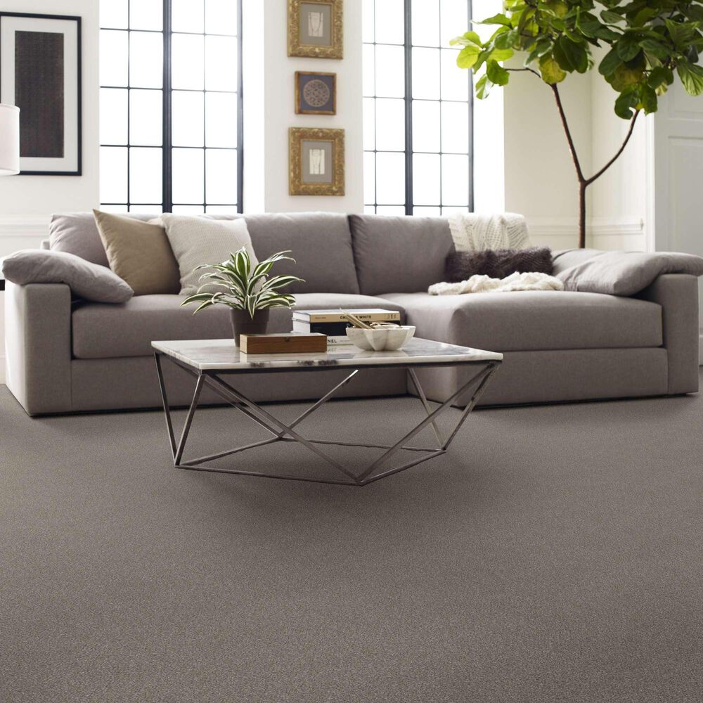 Shaw Without Limits II Carpet in Heather, , large