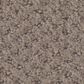 Shaw Austin Park Carpet in Open Canyon, , large