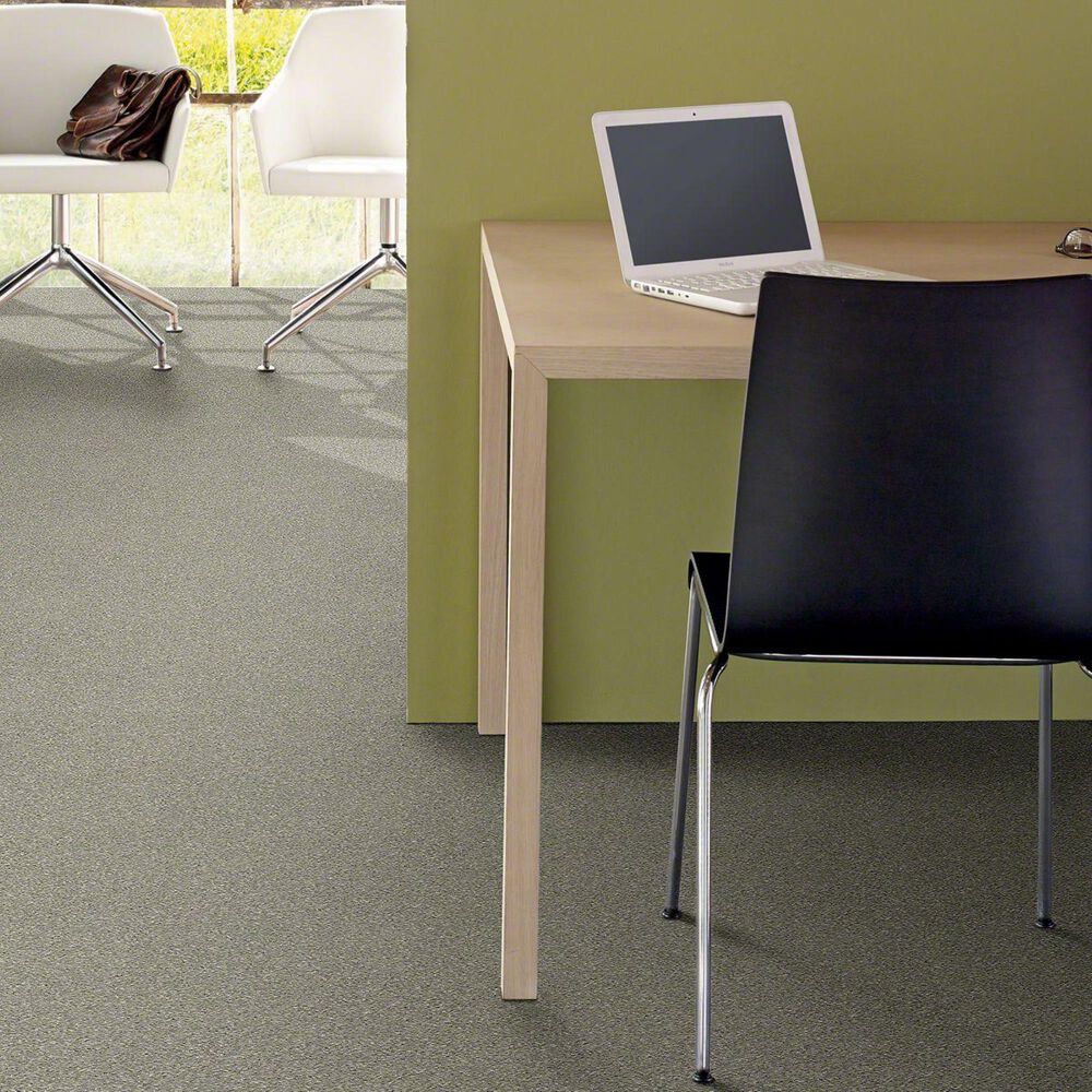 Philadelphia Basic Rules Carpet in Flax, , large