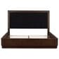 Millenium Dilenno Queen Panel Bed in Dark Brown with USB Ports, , large