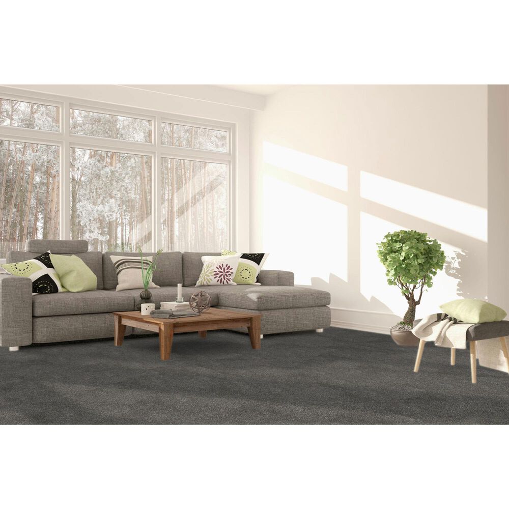 Dream Weaver Rustic Retreat I Carpet in Twilight Plains, , large