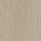 Phenix All Inclusive Carpet in Cosmopolitan, , large