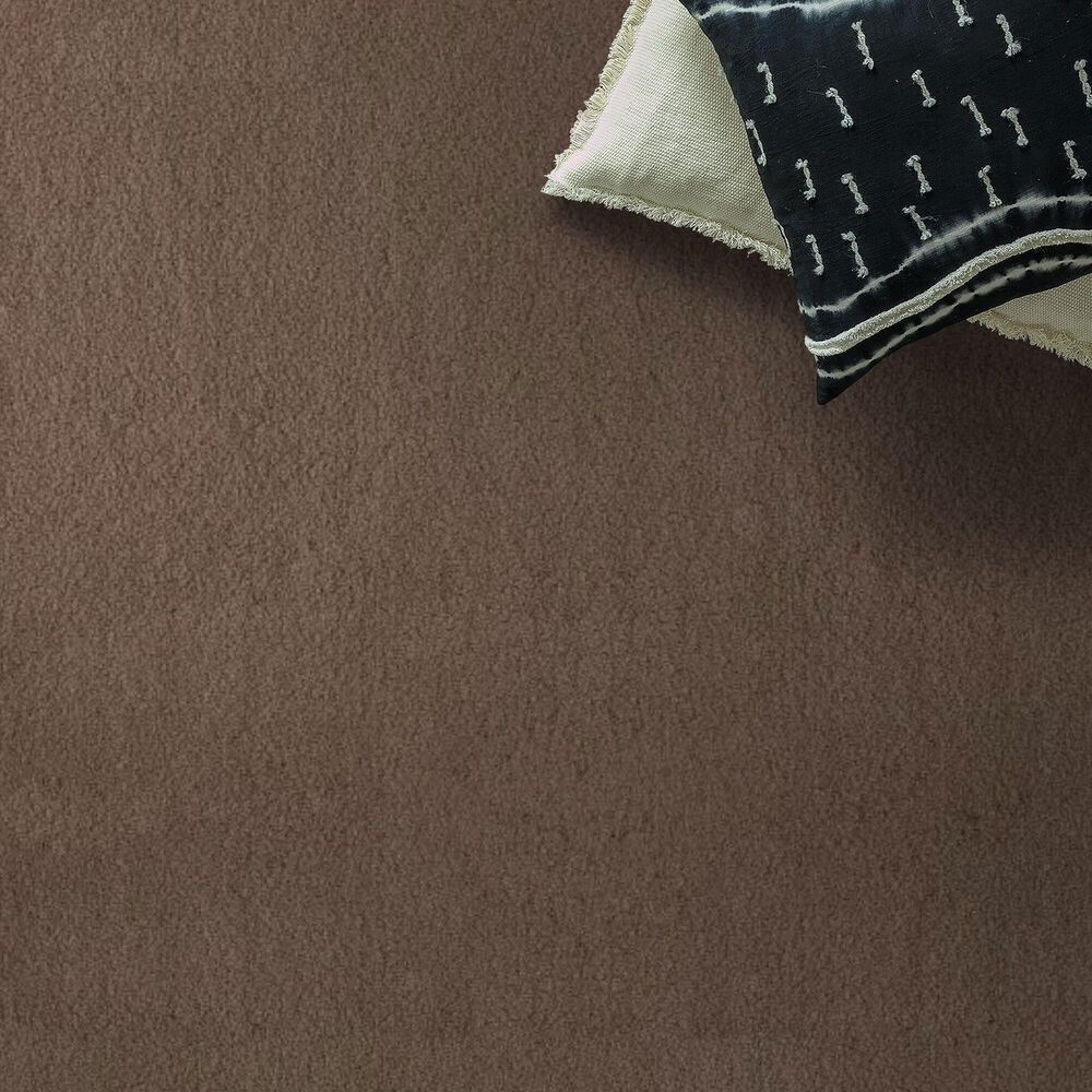 Anderson Tuftex Luxe Feel I Carpet in Pebble Path, , large
