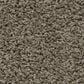 Shaw Del Morro Carpet in Fallen Rock, , large