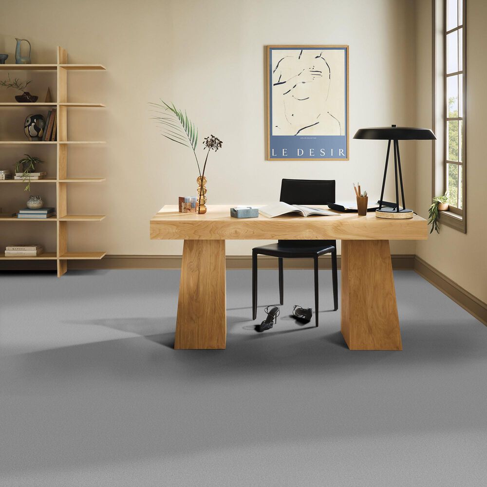 Anderson Tuftex Finery Carpet in Stainless, , large