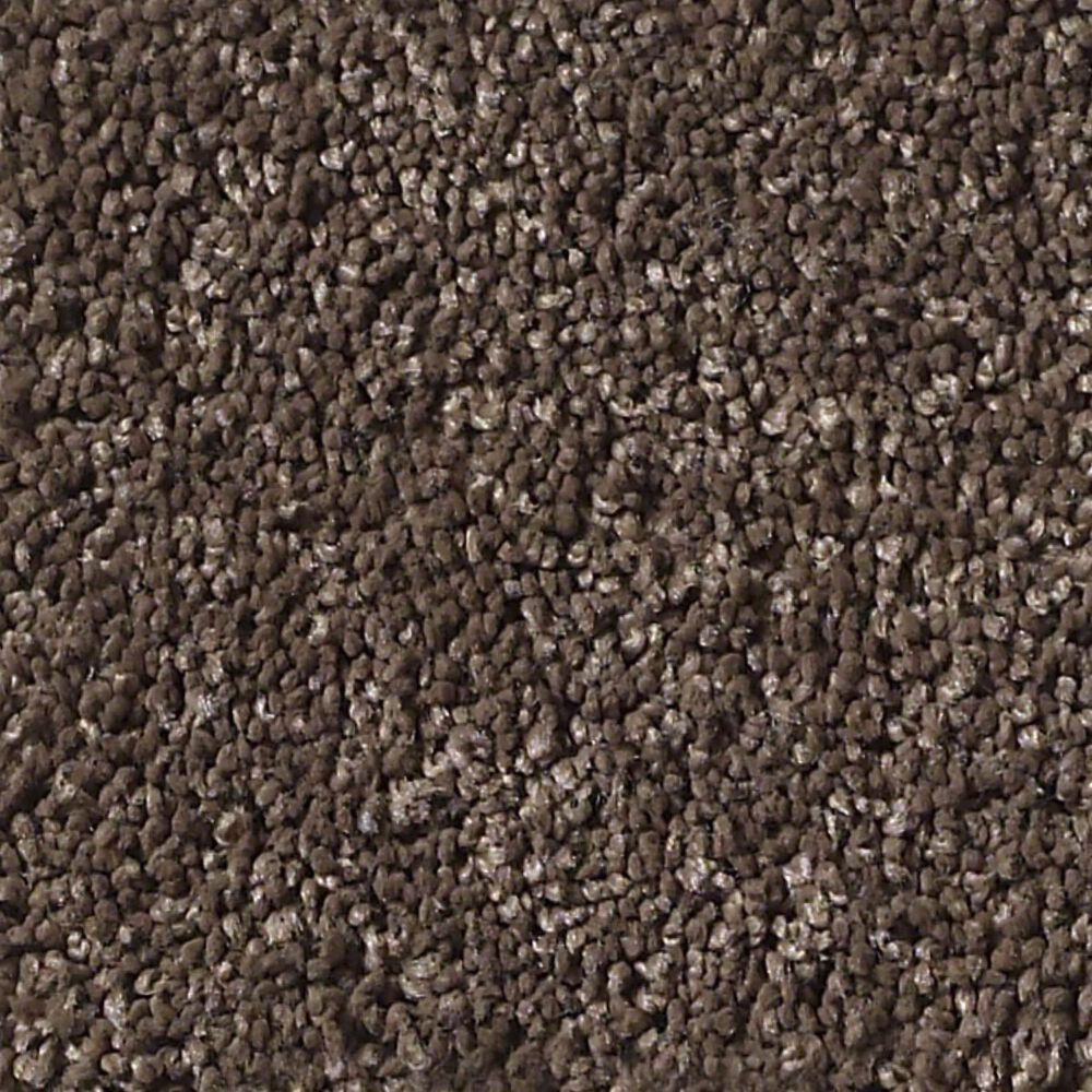 Anderson Tuftex Barracan Classic I Carpet in Spring Wood, , large