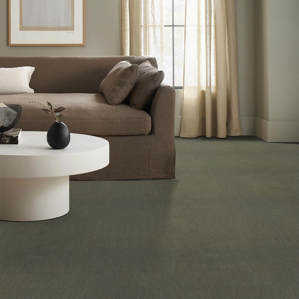 Anderson Tuftex Luxe Feel II Carpet in Bonsai, , large