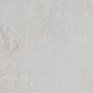 Central Oriental Belgian White 5" x 7" Area Rug, , large