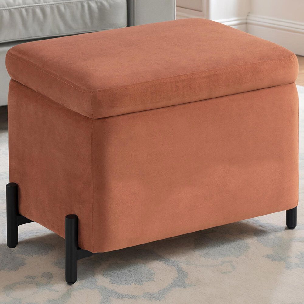 Lifestyle Solutions Kona Small Storage Ottoman in Rust, , large