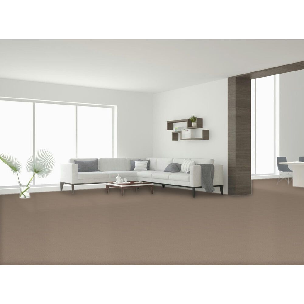Dream Weaver East Hampton 2550 Carpet in Bamboo, , large
