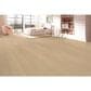 Fuzion Cape Bay Cremini Oak Engineered Hardwood, , large