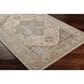 Surya Brunswick 7"10" x 10"2" Light Beige, Taupe, Olive, Light Gray, Charcoal, White, Teal and Dusty Sage Area Rug, , large