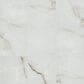 Shaw Astoria Oyster 23.5" x 23.5" Polished Porcelain Tile, , large