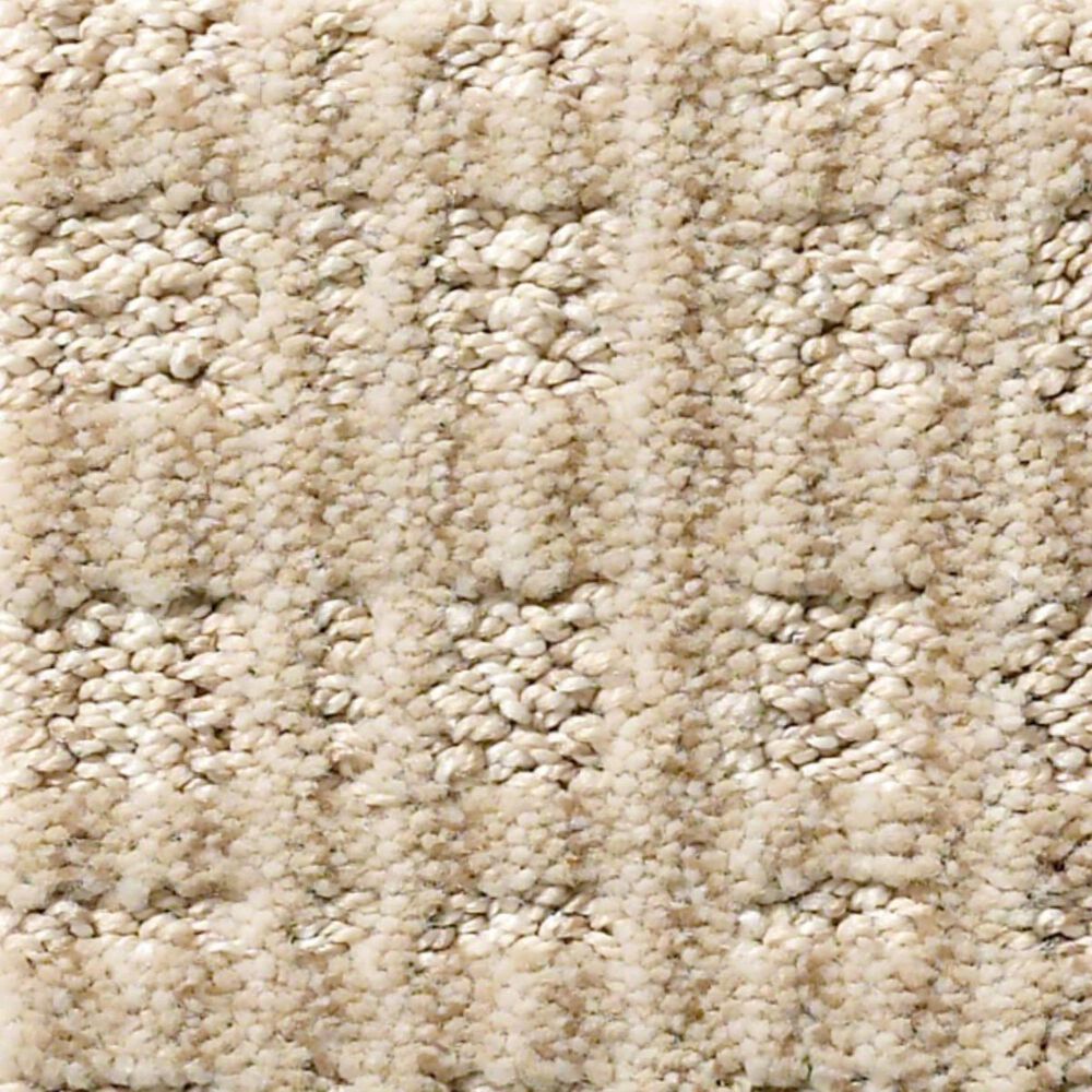 Anderson Tuftex Purrsuasion Carpet in Simply Beige, , large