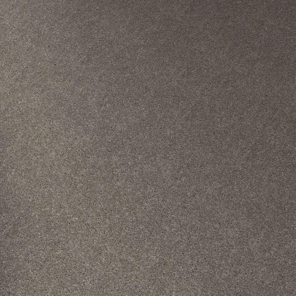 Shaw Hot Topic Carpet in Winter Birch, , large