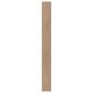 Shaw Paw-Some Tannin 9" x 86" Luxury Vinyl Plank, , large