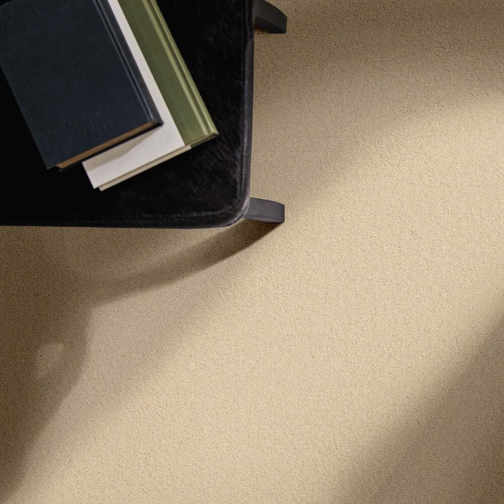 Anderson Tuftex Finery Carpet in Ecru, , large