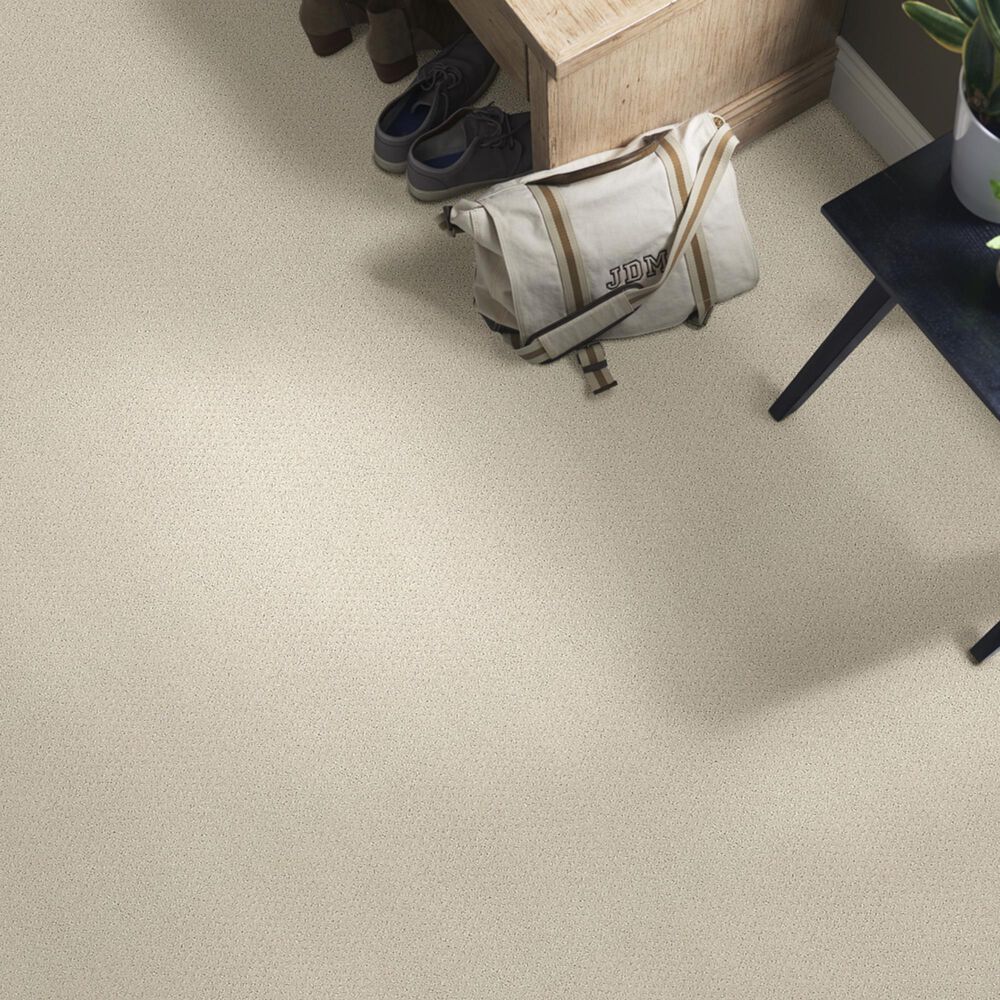 Shaw Foundations Infallible Instinct Carpet in Quiet Moment, , large