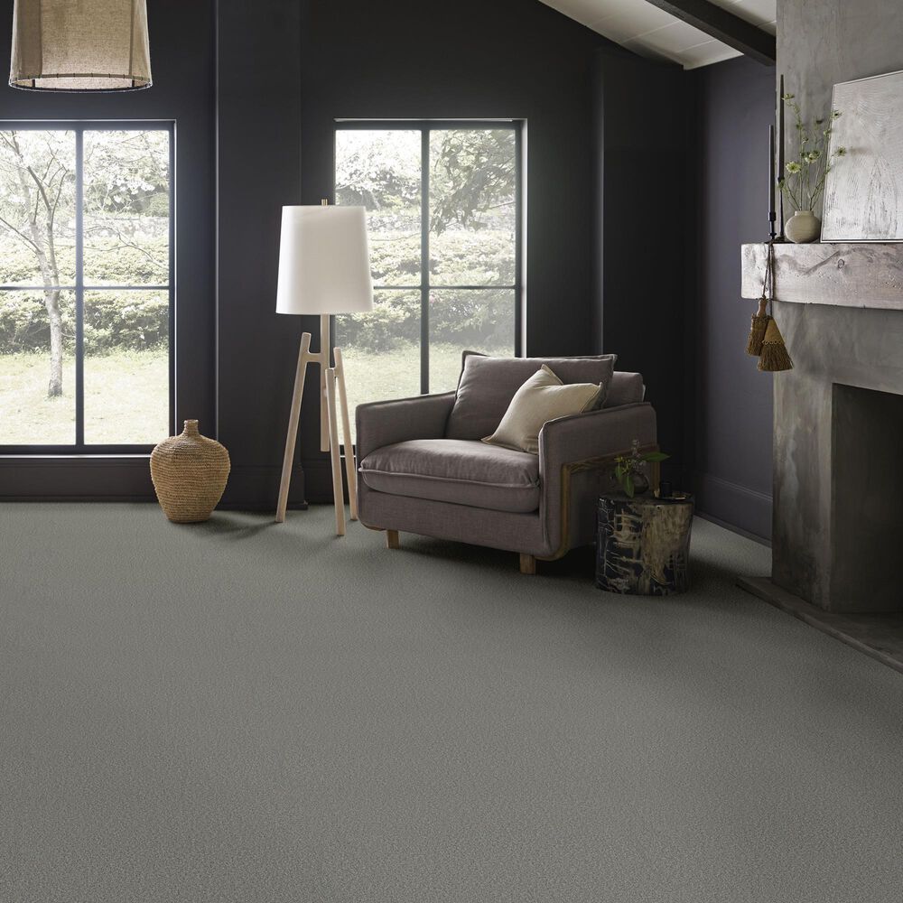 Anderson Tuftex Wyndham Estate Carpet in Pixel, , large
