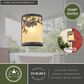 Vaxcel Douglas 1-Light Wall Sconce in Warm Bronze, , large