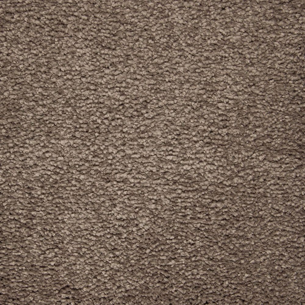 Mohawk Pleasant Touch Carpet in Steeplechase, , large