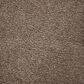 Mohawk Pleasant Touch Carpet in Steeplechase, , large