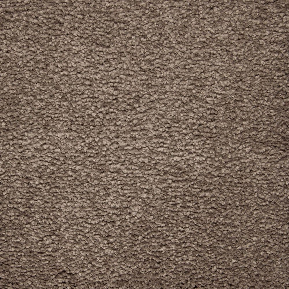 Mohawk Pleasant Touch Carpet in Steeplechase, , large