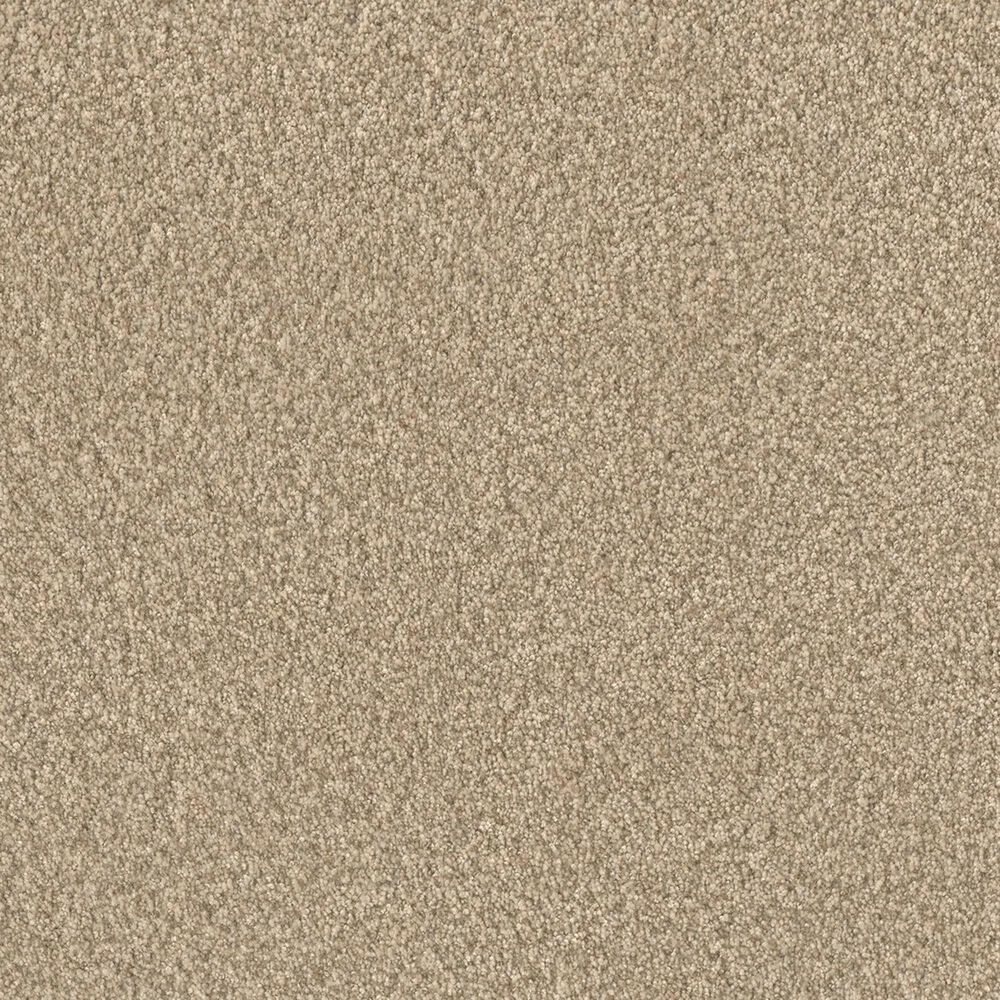 Dream Weaver Lucky Penny III Carpet in Pine Cone, , large