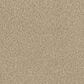 Dream Weaver Lucky Penny III Carpet in Pine Cone, , large