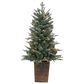 The Gerson Company 4" Potted Pre-Lit Artificial Blue Spruce with White Lights in Green, , large