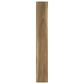 Shaw Tenacious HD Plus Accent Phoenix 7" x 48" Luxury Vinyl Plank, , large