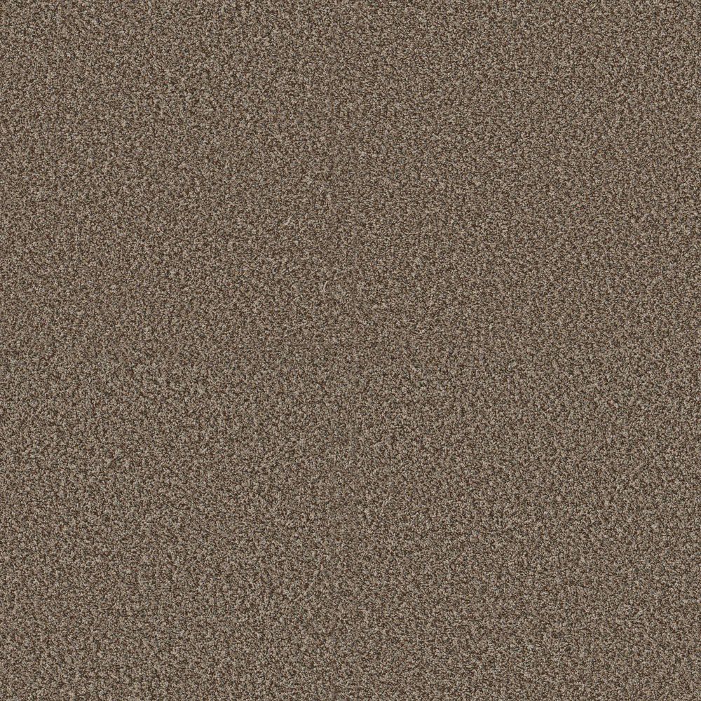 Shaw Renewed Energy I Carpet in Freckles, , large