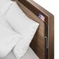 BDI LINQ 4-Piece King Bedroom Set in Natural Walnut, , large