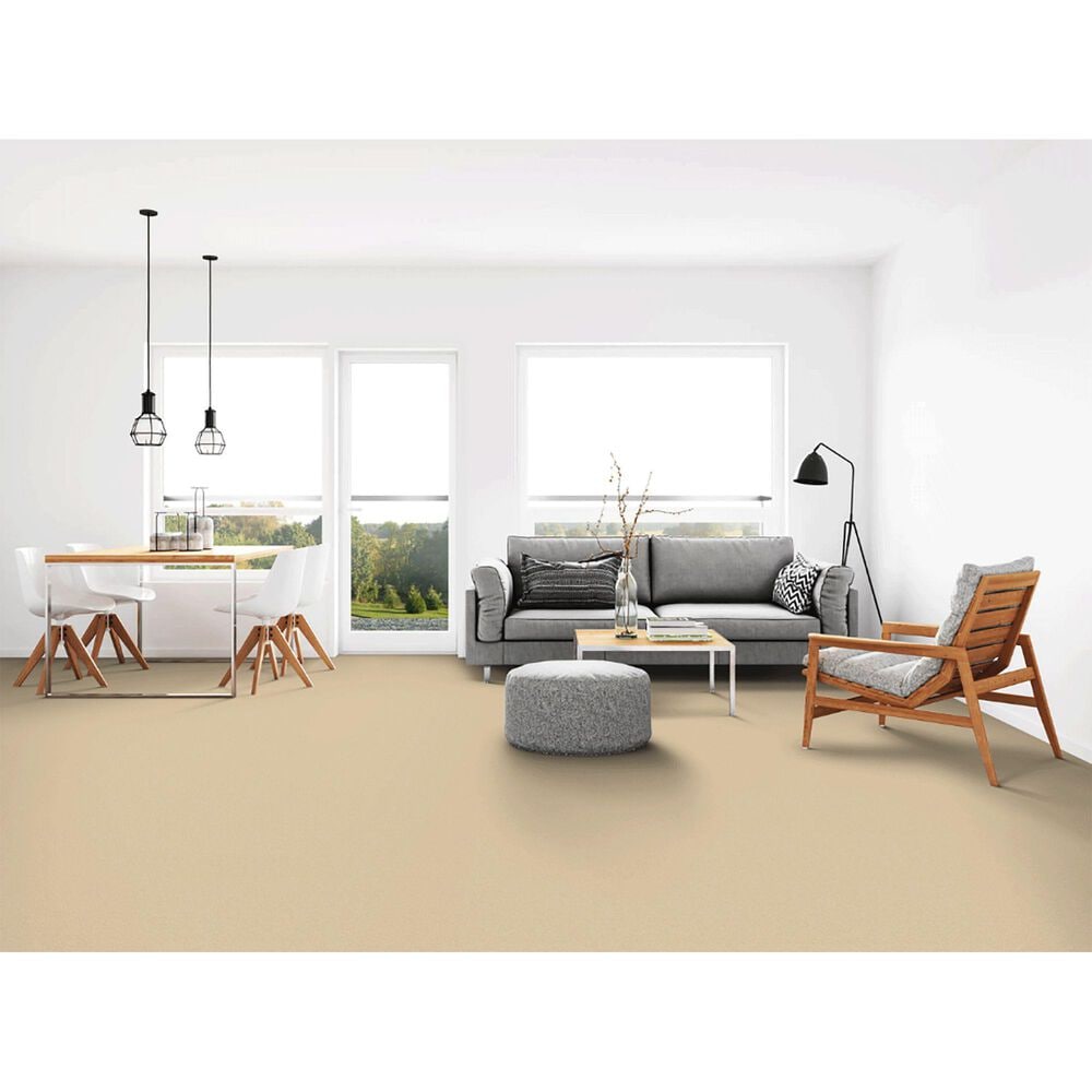 Dixie Home Neverland Carpet in Everlast, , large