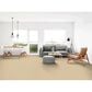 Dixie Home Neverland Carpet in Everlast, , large