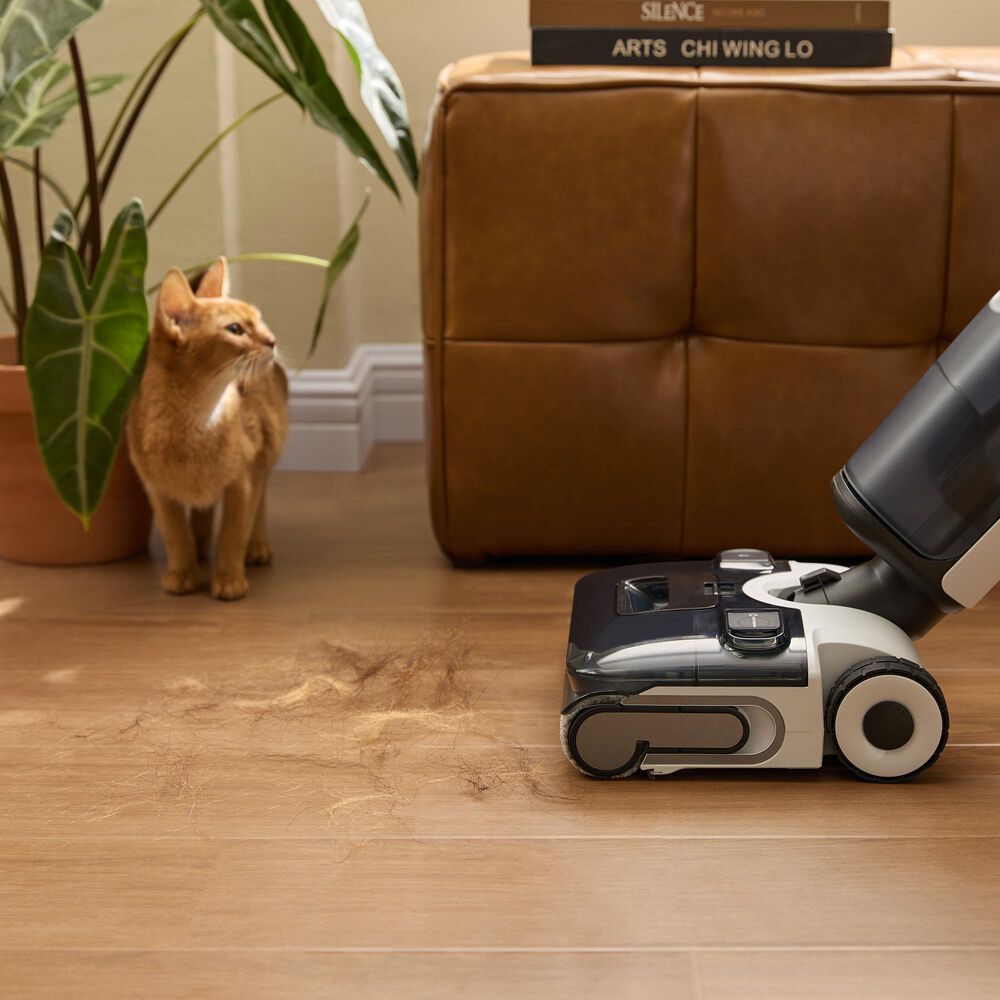 Roborock F25 Ace Wet and Dry Vacuum Cleaner in Black, , large