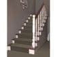 Masland Offspring Carpet in Andy Warhowl, , large