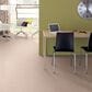 Shaw Find Your Comfort NS II Carpet in Soft Lullaby, , large