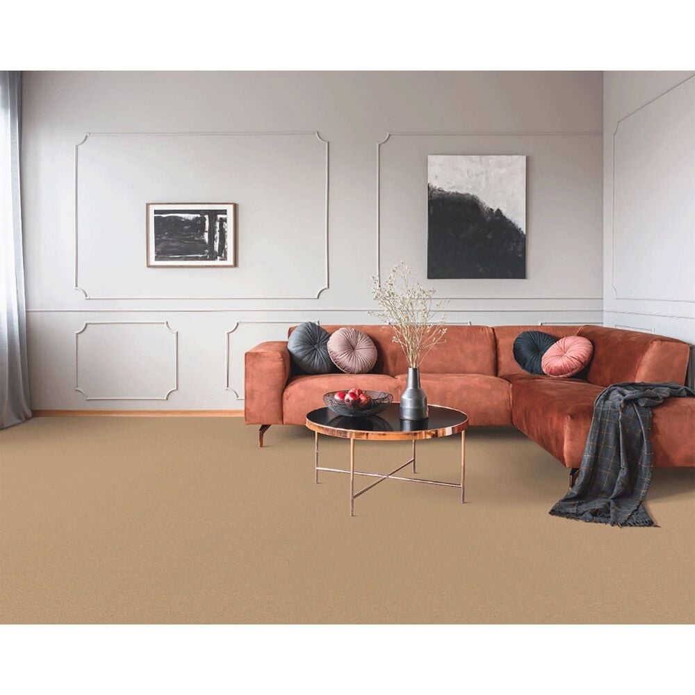 Dixie Home Neverland Carpet in Maple Valley, , large