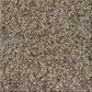 Shaw Bold Move Plus Carpet in Golden Tint, , large