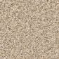 Anderson Tuftex Somerset Carpet in Down Home, , large
