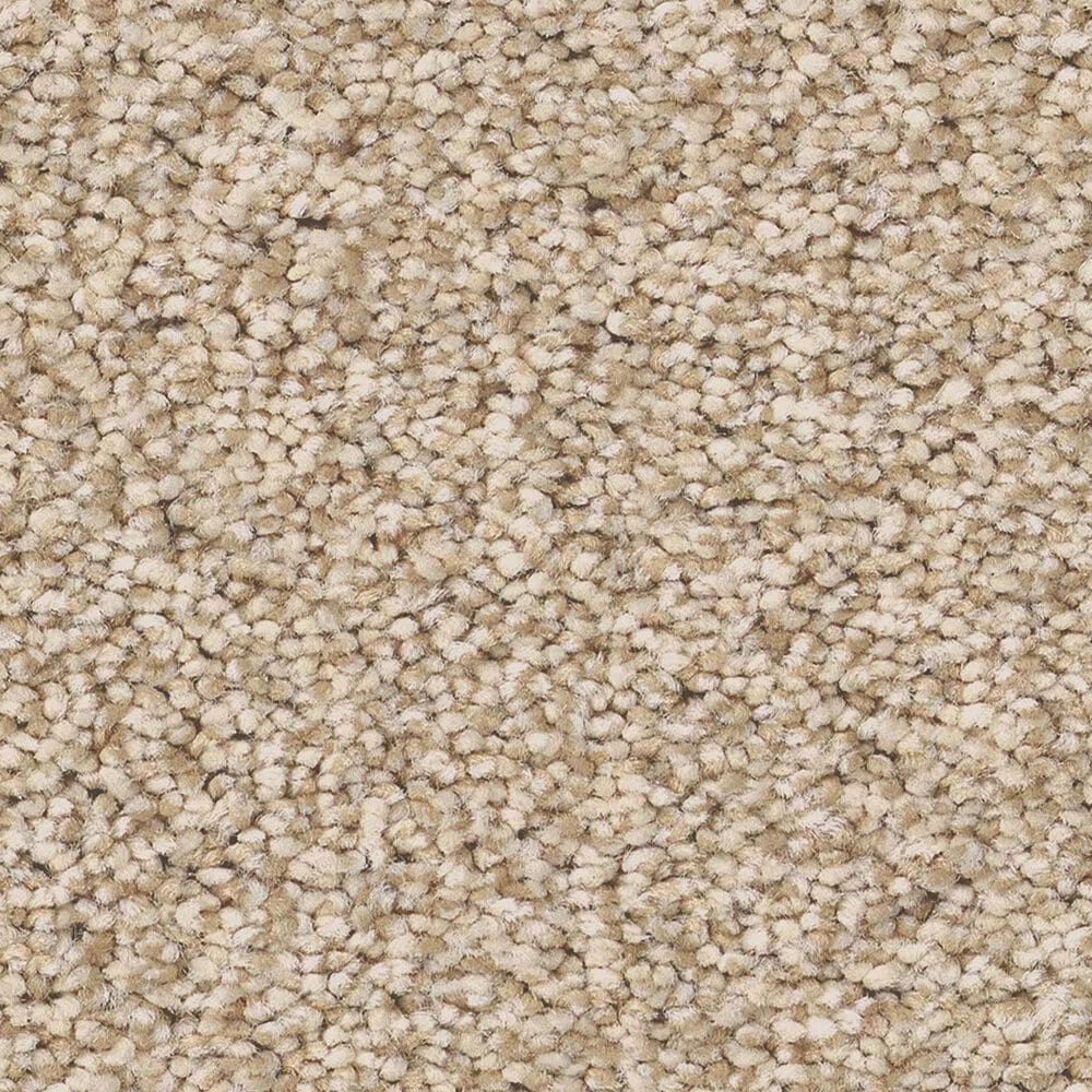 Anderson Tuftex Somerset Carpet in Down Home, , large