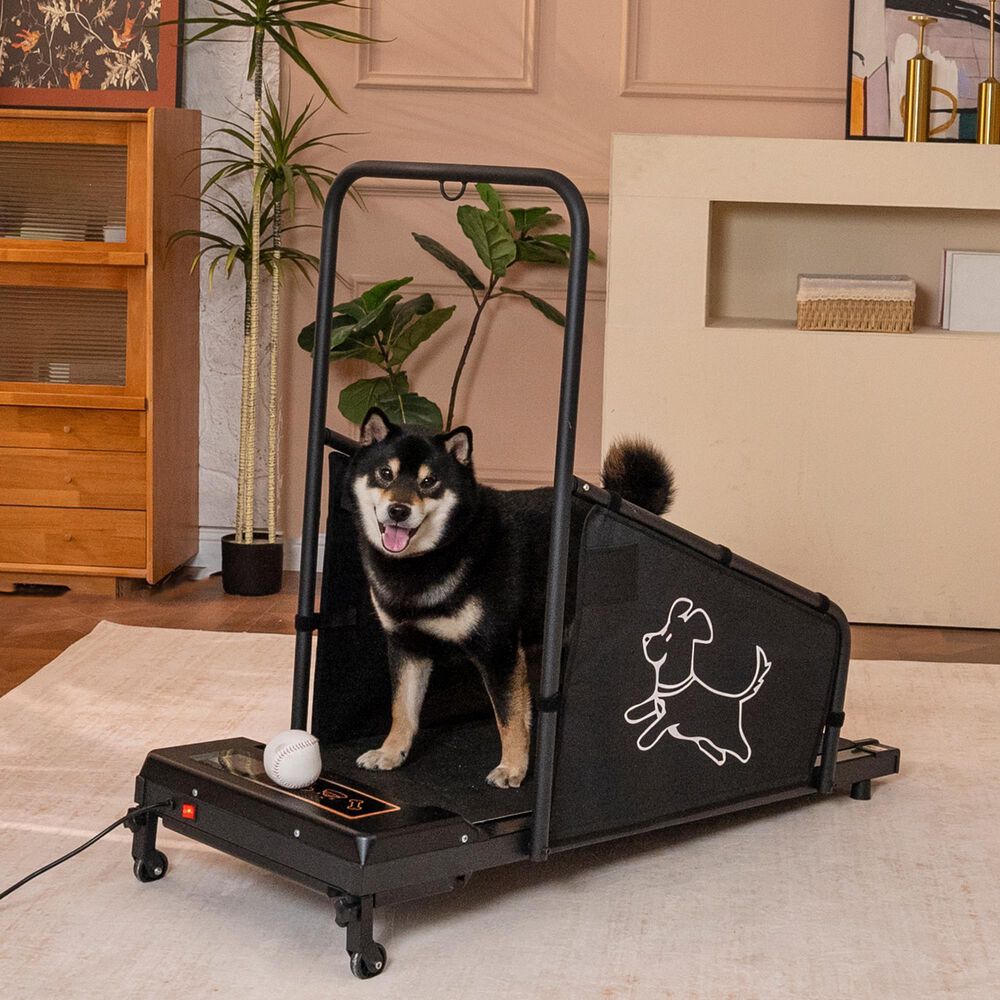 HOMLUX Dog Treadmill for Medium Dogs in Black, , large