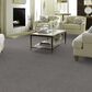 Anderson Tuftex Caress Cozy Harbor I Carpet in Grounded Gray, , large