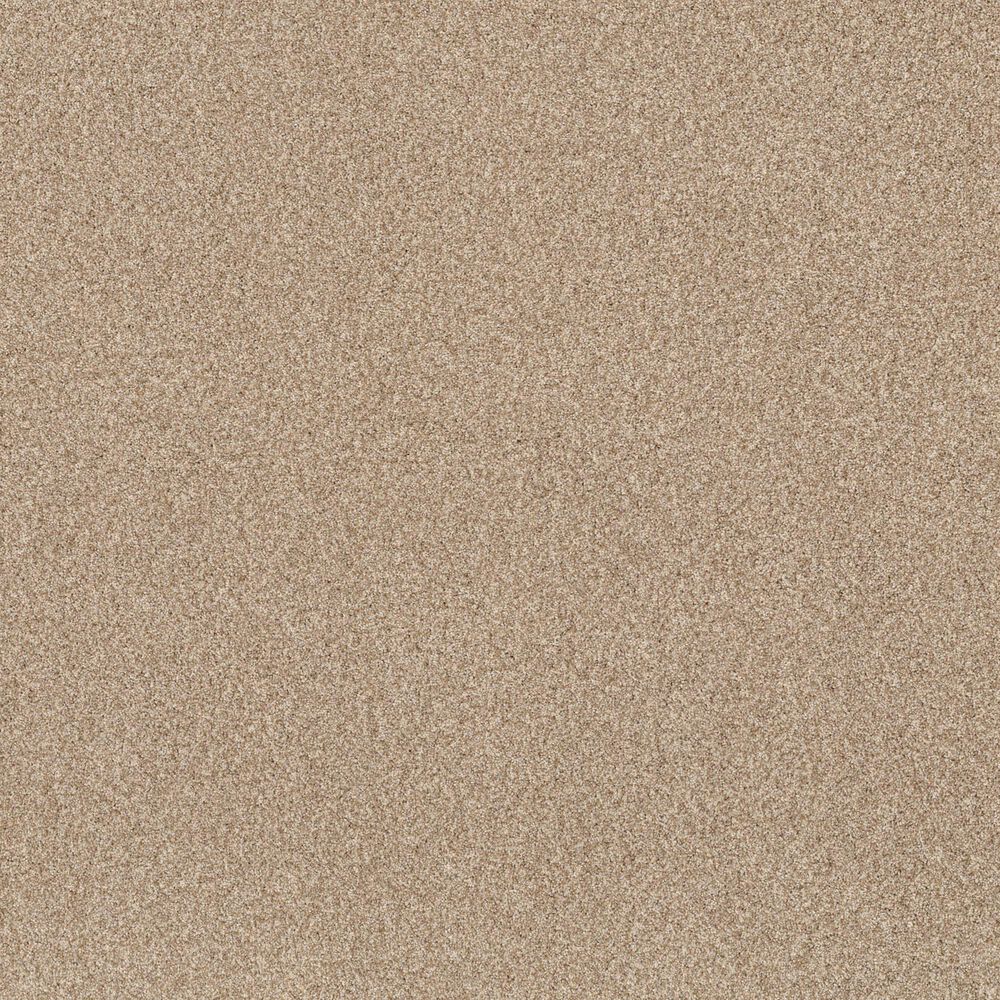 Anderson Tuftex Terra Nova Carpet in Reed, , large