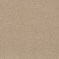 Anderson Tuftex Terra Nova Carpet in Reed, , large