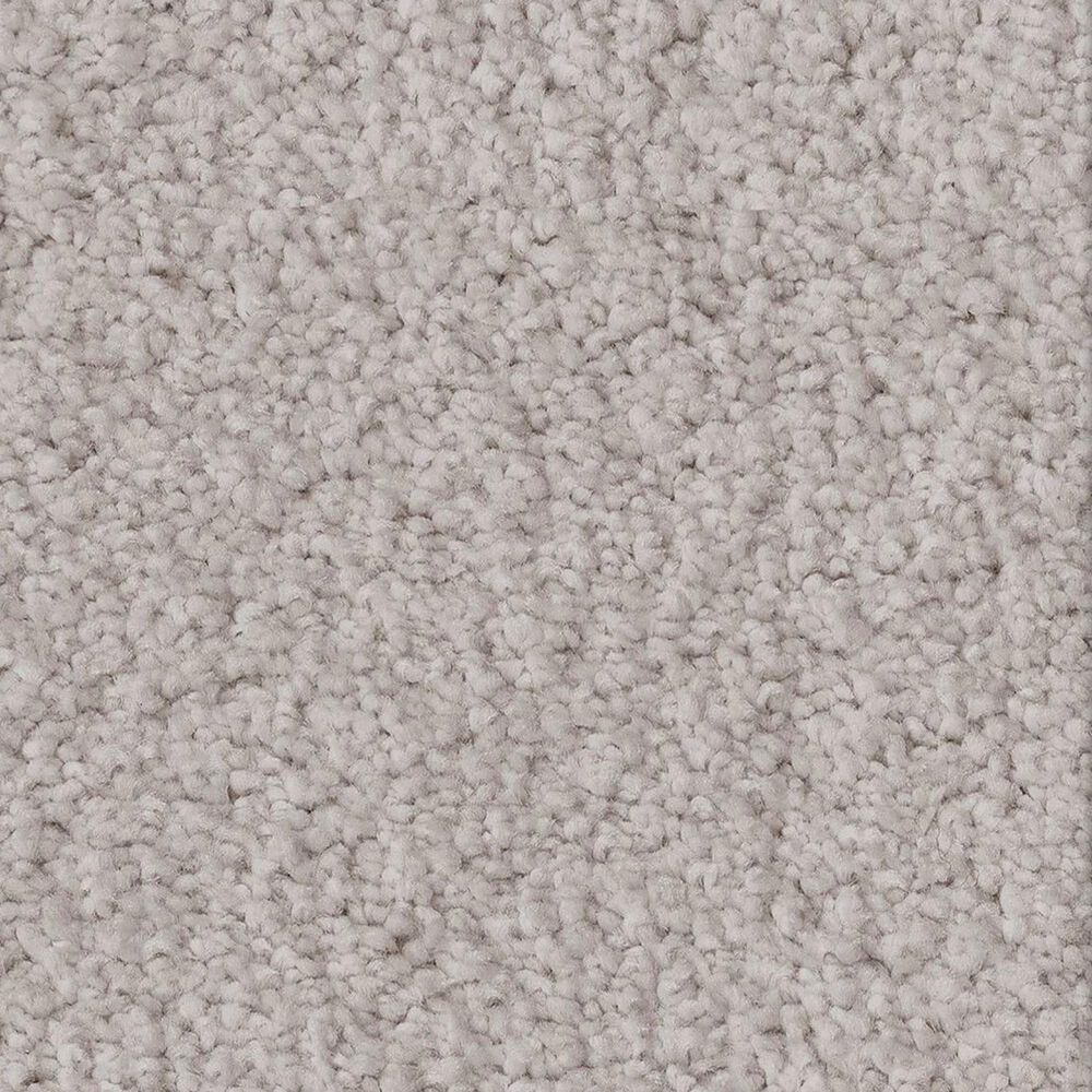 Anderson Tuftex Luxe Feel II Carpet in Bismuth, , large