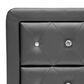 Baxton Studio Stella 2-Drawer Upholstered Nightstand in Black, , large