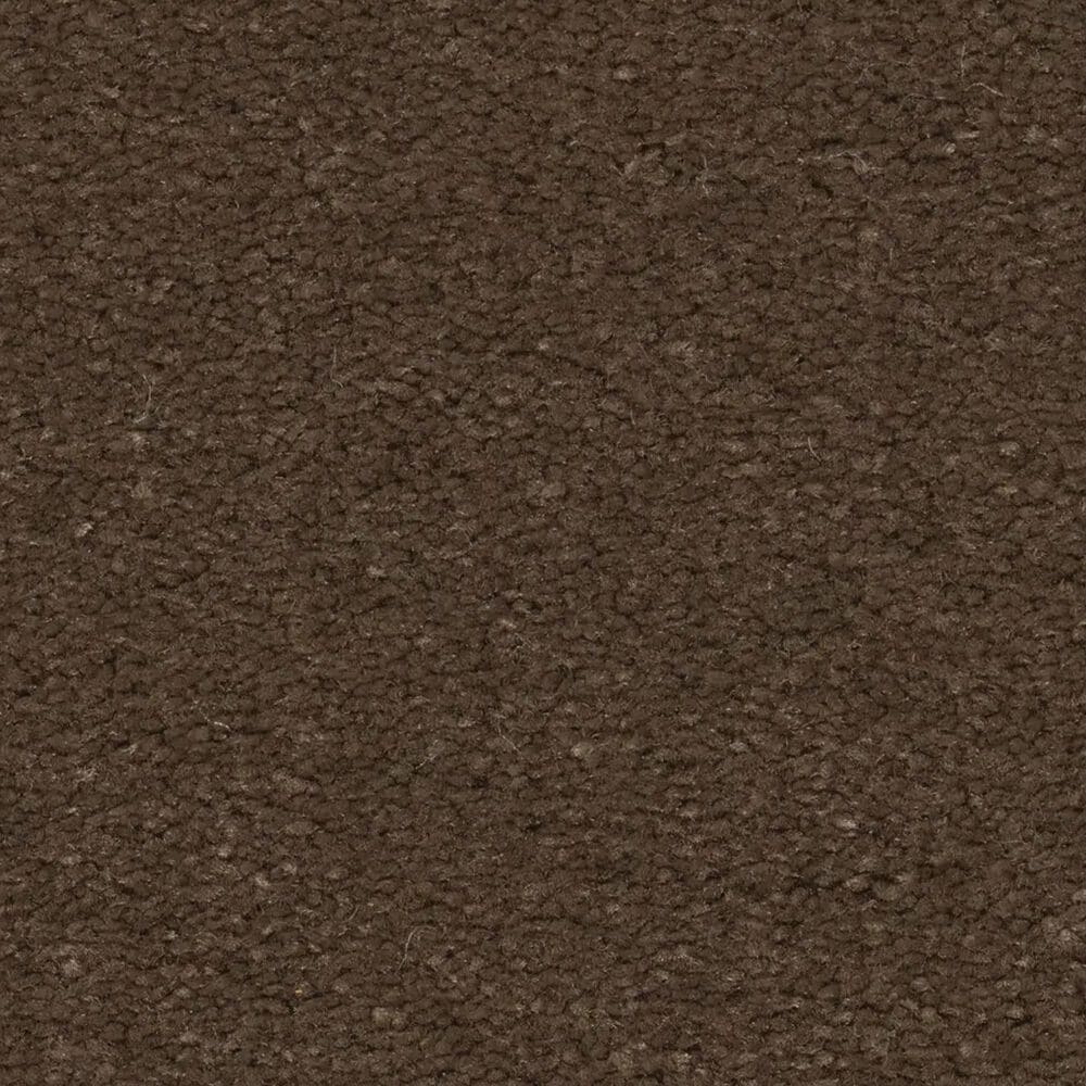 Anderson Tuftex Finery Carpet in Leather, , large